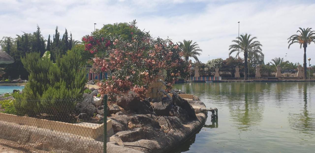 Schoene Wohnung Mit Pool , Wi-Fi Und Privat Garage Torrevieja Eksteriør bilde